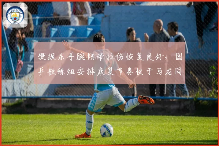 樊振东手腕韧带拉伤恢复良好，国乒教练组安排康复节奏快于马龙同期