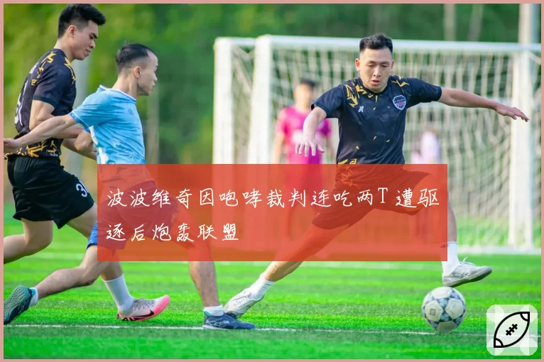 波波维奇因咆哮裁判连吃两T 遭驱逐后炮轰联盟