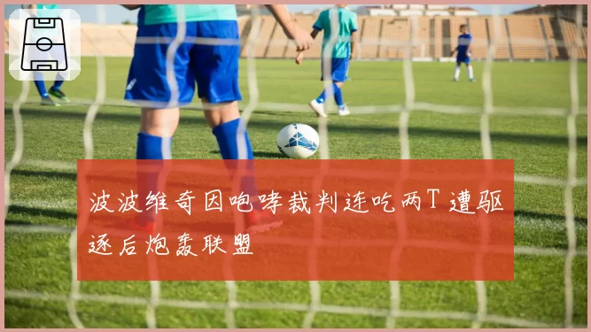 波波维奇因咆哮裁判连吃两T 遭驱逐后炮轰联盟
