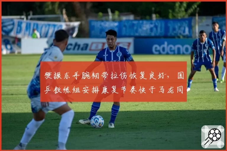 樊振东手腕韧带拉伤恢复良好，国乒教练组安排康复节奏快于马龙同期