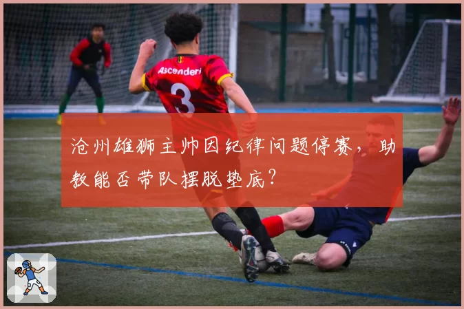 沧州雄狮主帅因纪律问题停赛，助教能否带队摆脱垫底？